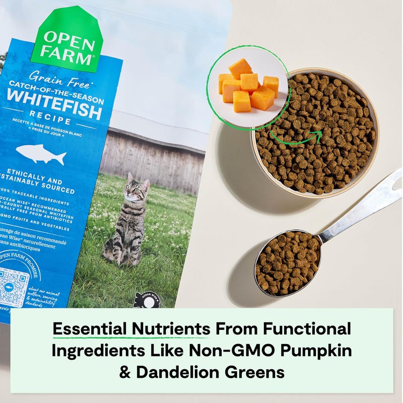 Open Farm, Grain Free Dry Cat Food, High-Protein Kibble for a Complete & Balanced Diet, Non-GMO Fruits & Vegetables, Prebiotic Fibers to Support Digestion, Catch-of-The Season Whitefish, 8lb Bag - Image 4